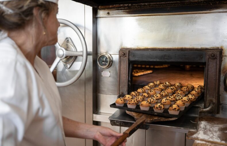 Ghid de alegere ce cuptor profesional ți se potrivește cel mai bine