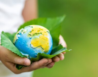 echipamente horeca sustenabile