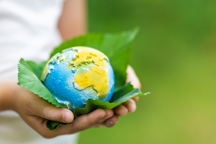 echipamente horeca sustenabile